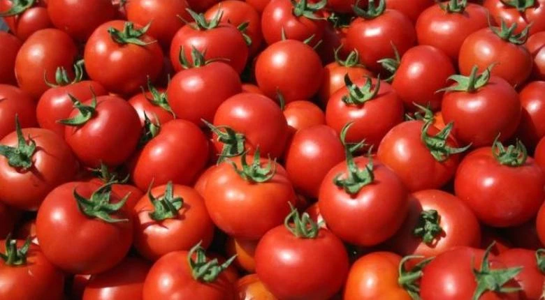 Σχεδόν μισός τόννος ντομάτες Αλβανίας κατασχέθηκαν και καταστράφηκαν στον Πειραιά